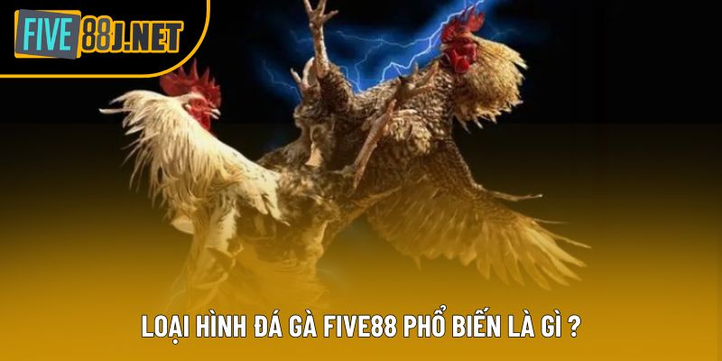 Loại hình đá gà Five88 phổ biến là gì ?